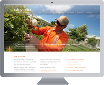 Gold Coast Website Design